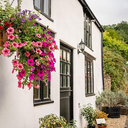 Woodview - Cosy 1840S Cottage In Chew Valley And Mendip Aonb Compton Martin Dış mekan fotoğraf