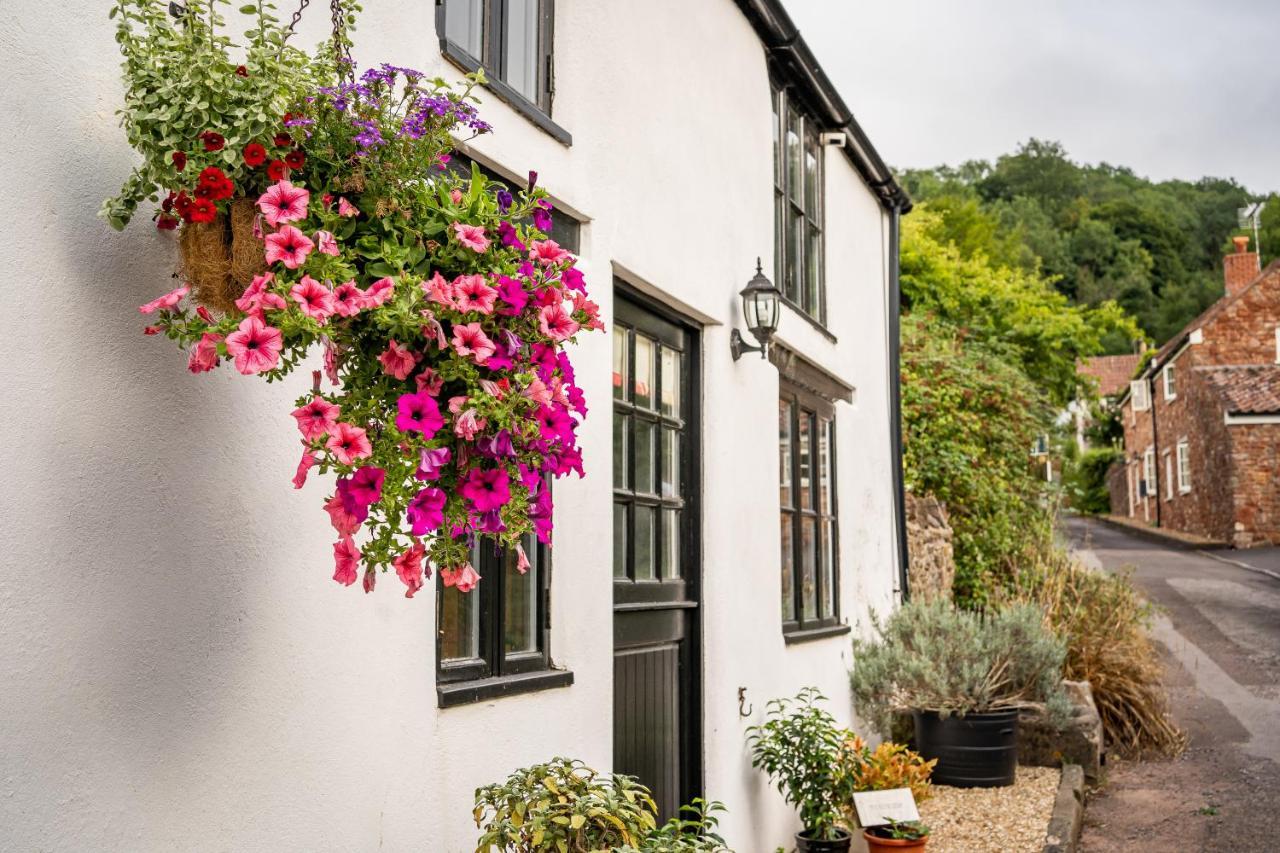 Woodview - Cosy 1840S Cottage In Chew Valley And Mendip Aonb Compton Martin Dış mekan fotoğraf